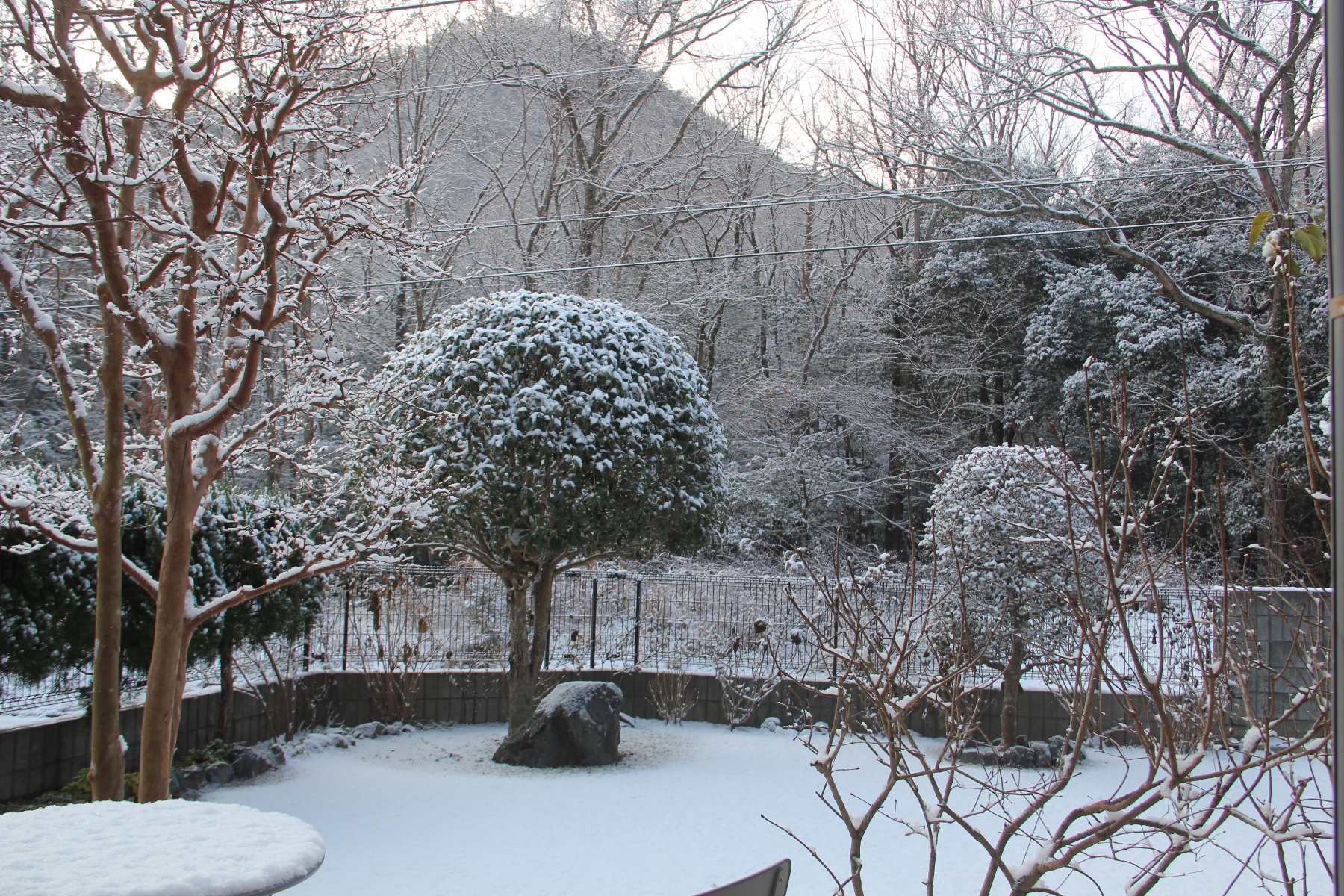 漢方芍薬堂　雪化粧