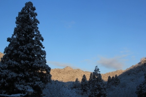 雪化粧2 雪化粧2